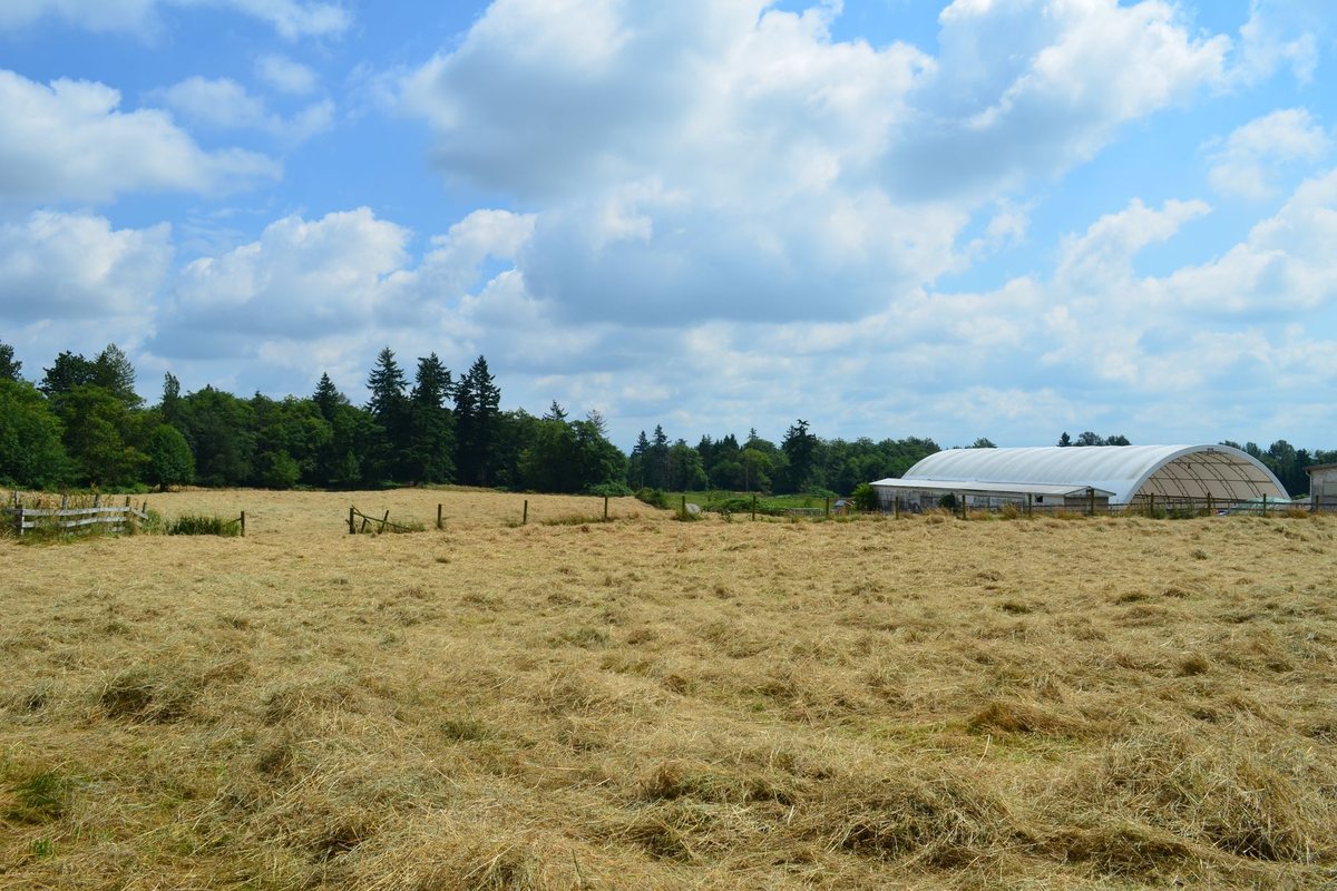 Cascades Casino Resort Langley